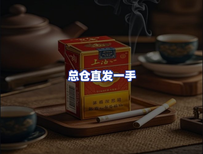 专业团队